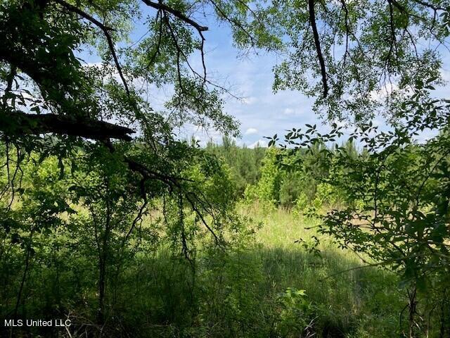 Bear Creek Road Utica, MS 39175 - Photo 11 of 14 bc7