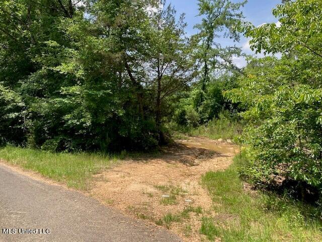 Bear Creek Road Utica, MS 39175 - Photo 12 of 14 bc1