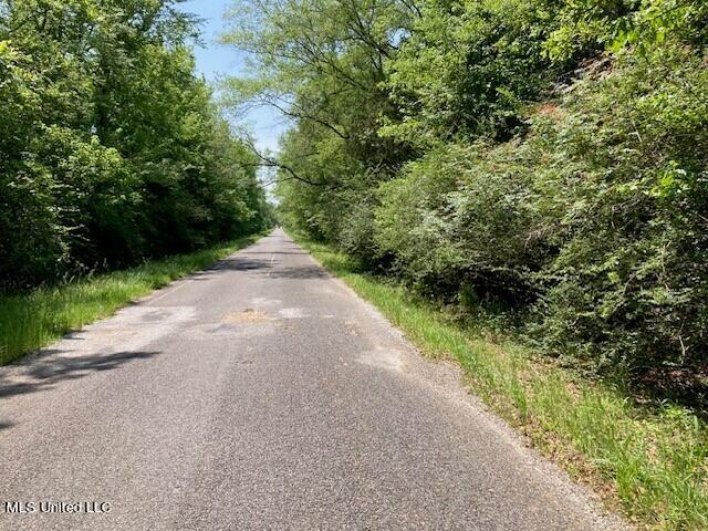 Bear Creek Road Utica, MS 39175 - Photo 2 of 14 bcstreet