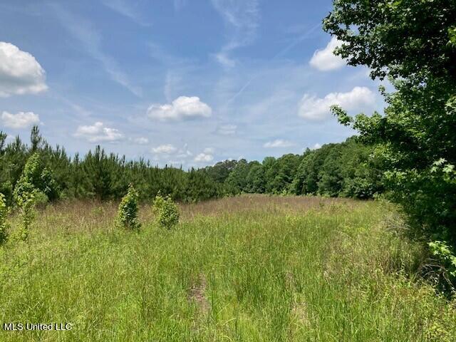 Bear Creek Road Utica, MS 39175 - Photo 3 of 14 bc4