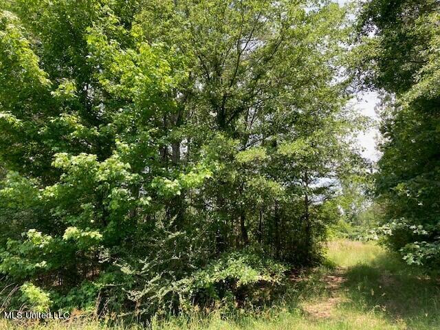 Bear Creek Road Utica, MS 39175 - Photo 5 of 14 bc3