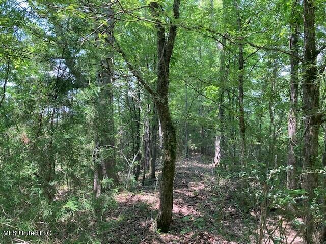 Bear Creek Road Utica, MS 39175 - Photo 6 of 14 bc2