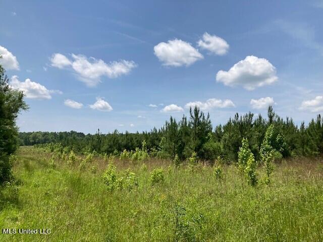 Bear Creek Road Utica, MS 39175 - Photo 7 of 14 bc5