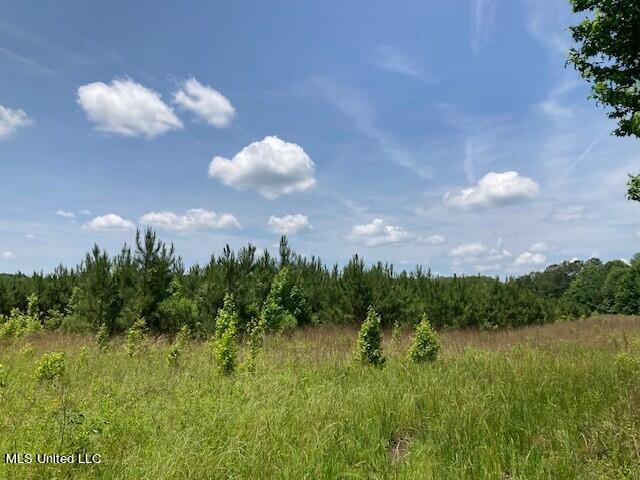 Bear Creek Road Utica, MS 39175 - Photo 8 of 14 bc6