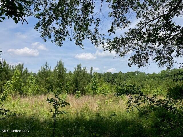 Bear Creek Road Utica, MS 39175 - Photo 10 of 14 bc8