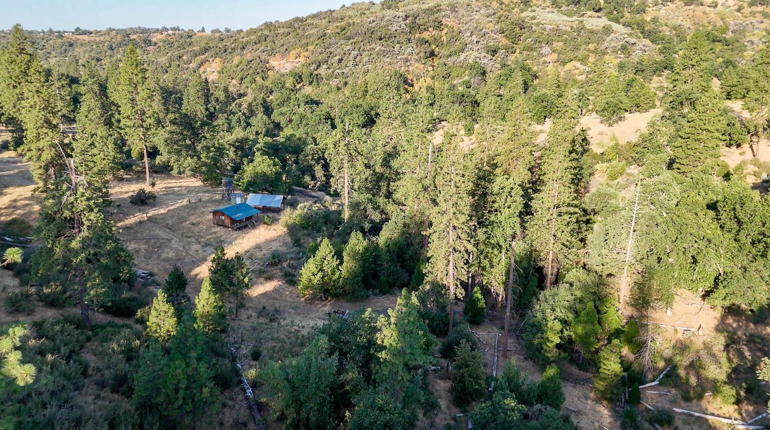 0 Whitaker Forest Road Miramonte, CA 93603 - Photo 36 of 78 a view of a forest with a tree
