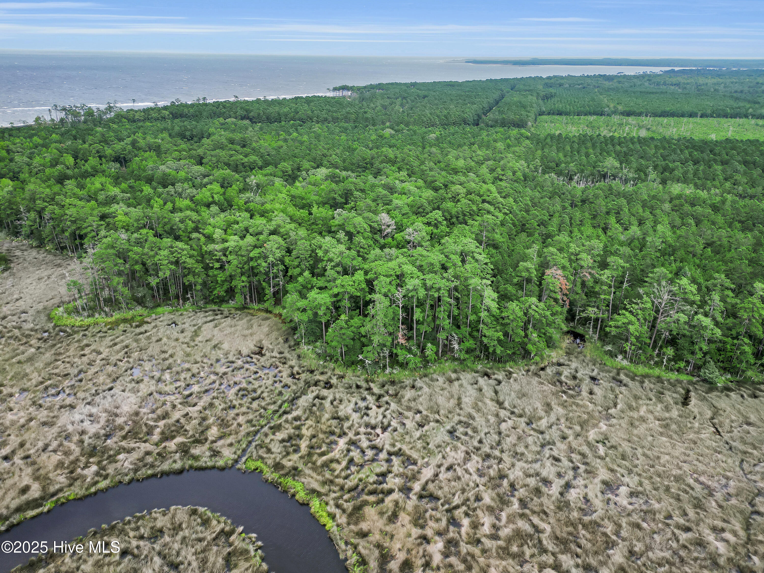 695 Sandy Point Drive Beaufort, NC 28516 - Photo 13 of 22 41