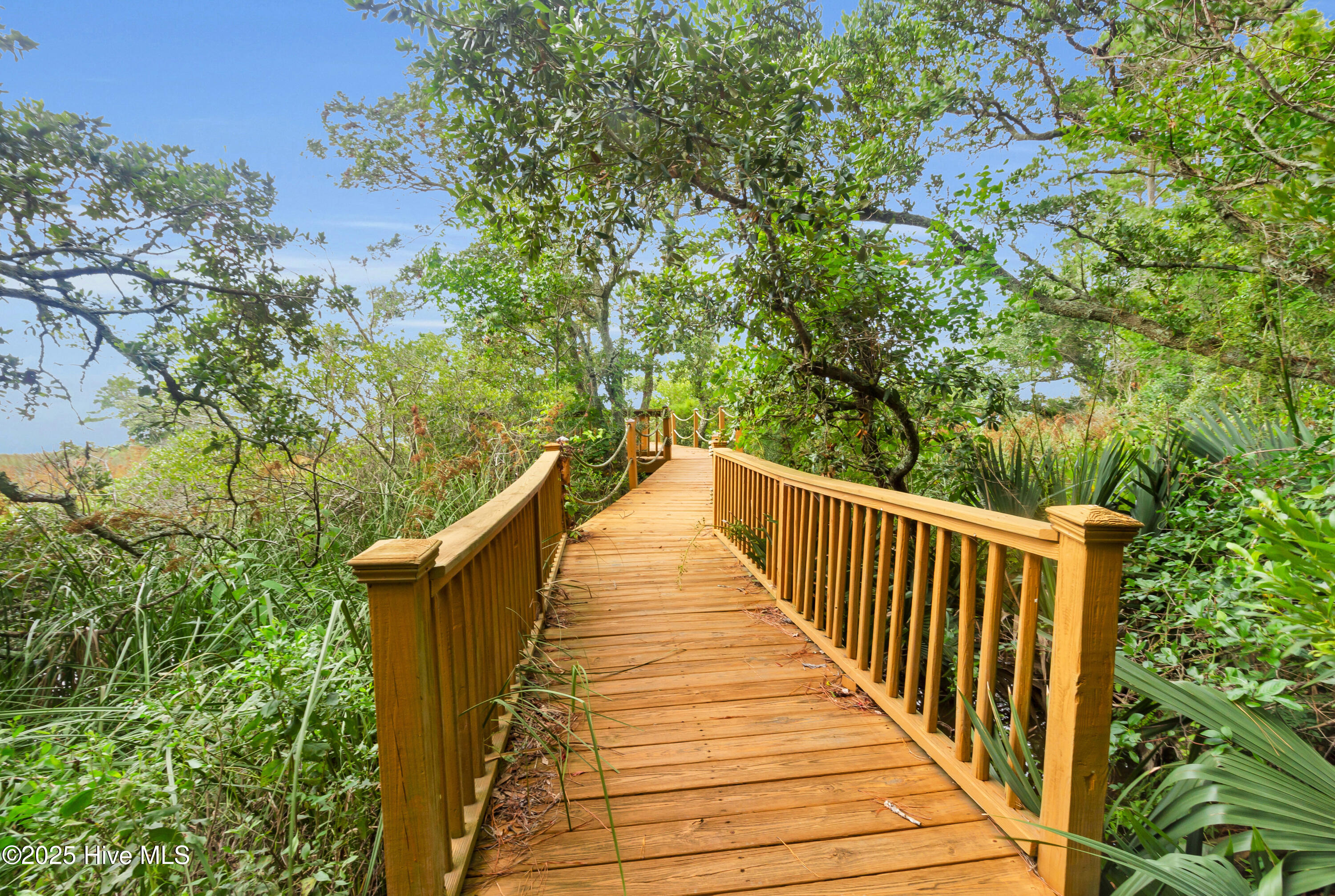 695 Sandy Point Drive Beaufort, NC 28516 - Photo 14 of 22 52