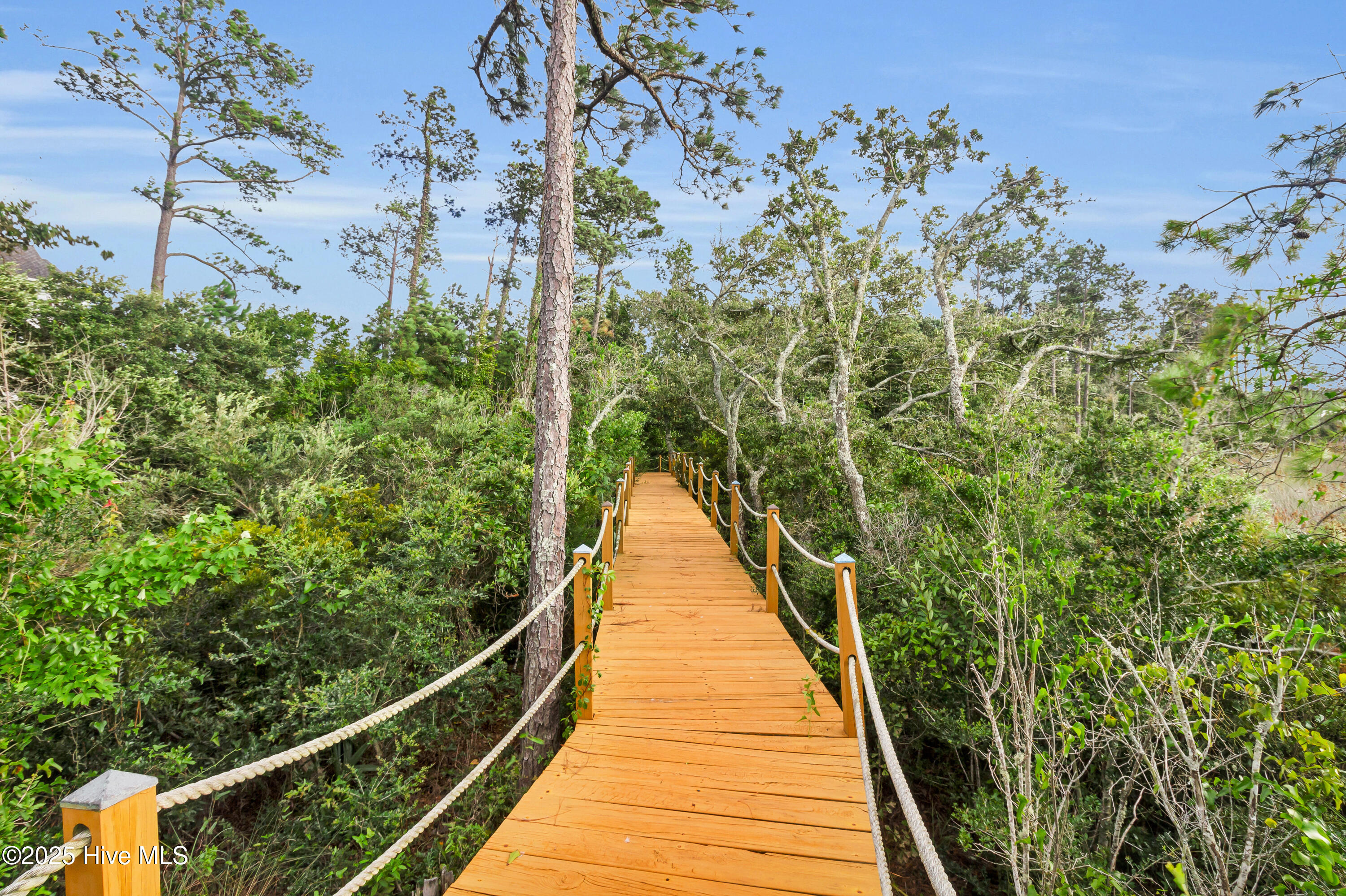 695 Sandy Point Drive Beaufort, NC 28516 - Photo 16 of 22 57