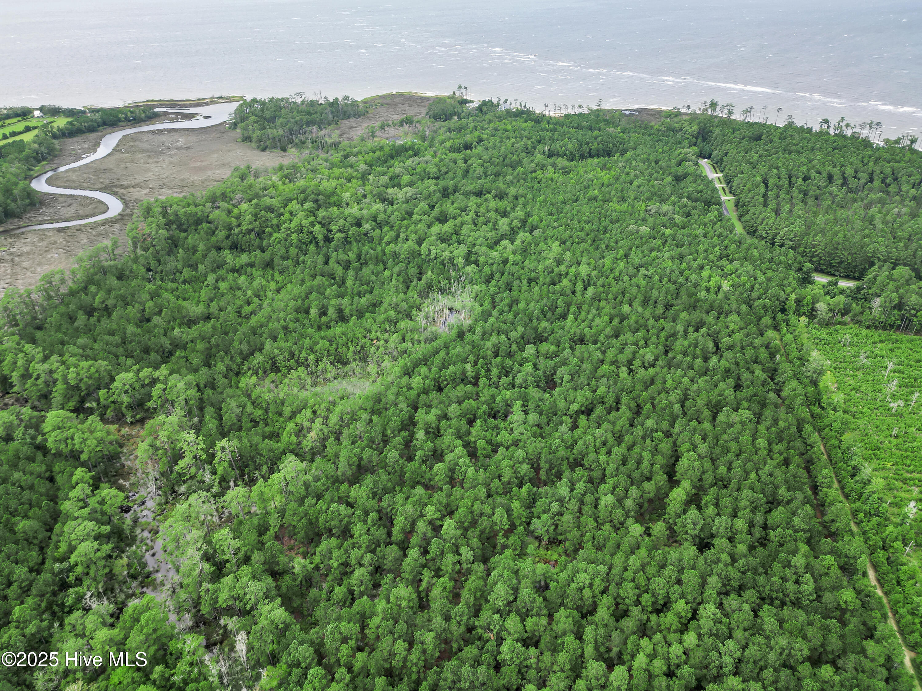695 Sandy Point Drive Beaufort, NC 28516 - Photo 10 of 22 34