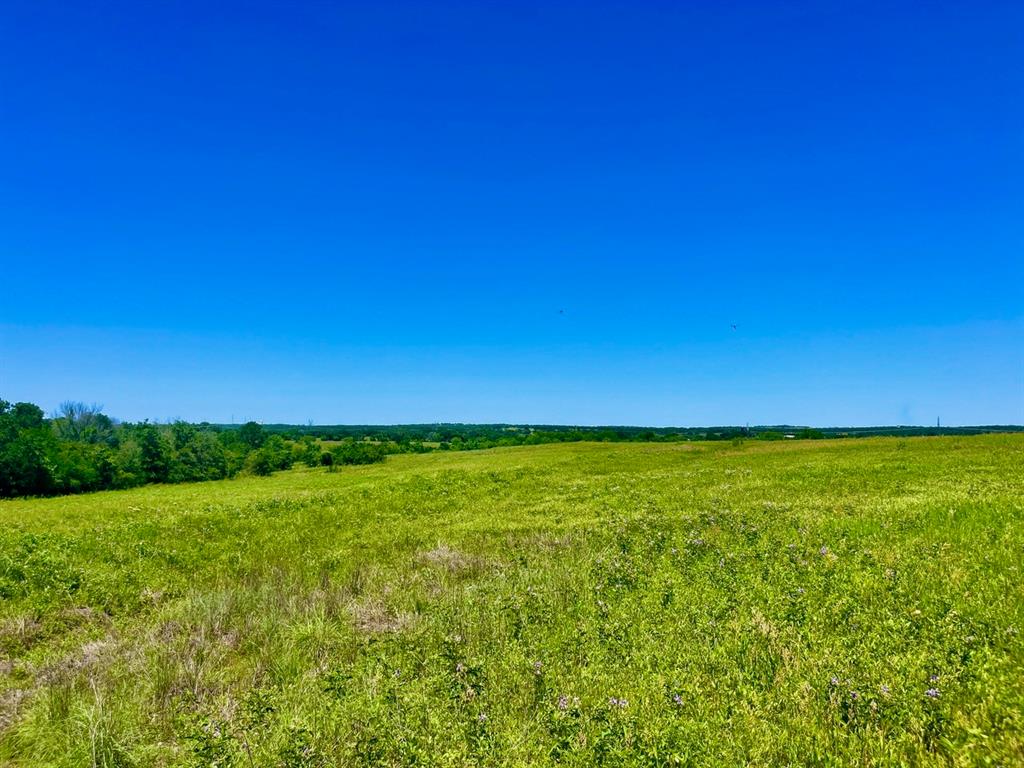 Lot 19 Kilkenny Road Poolville, TX 76487 - Photo 3 of 18 View of nature with a rural view