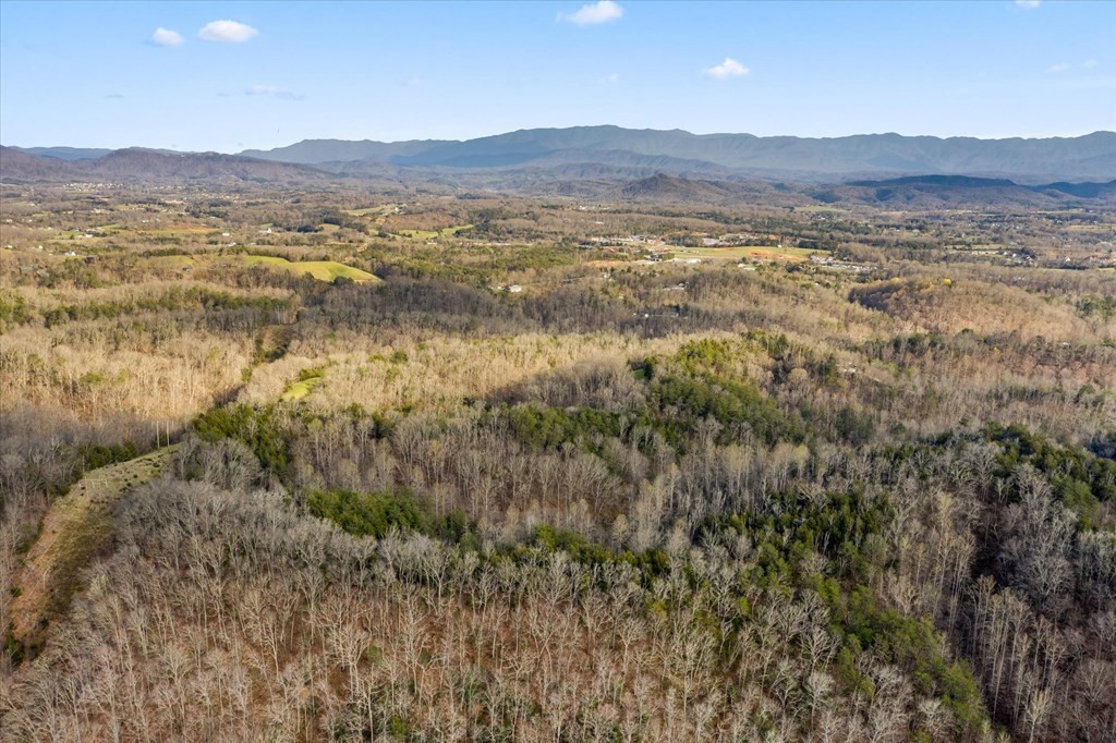 0 Lane Hollow Road Sevierville, TN 37876 - Photo 7 of 7