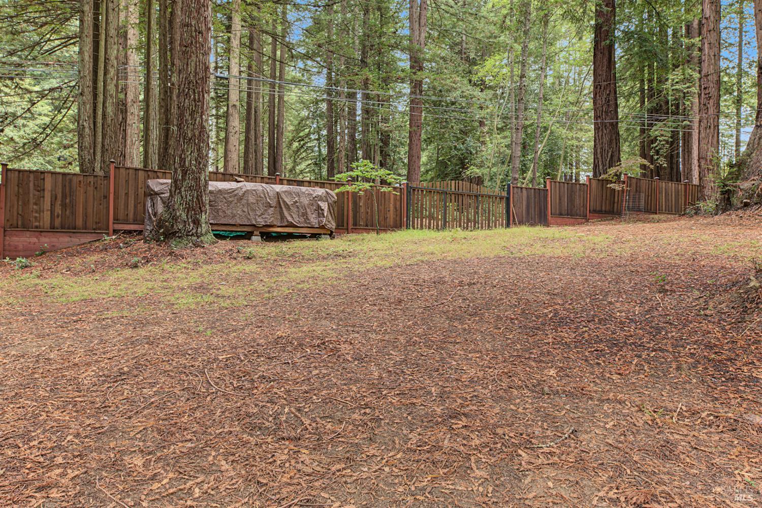 2411 Joy Road Occidental, CA 95465 - Photo 60 of 65 Gallery Image 60