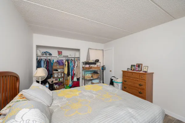 a bathroom with a shower curtain and a bathtub