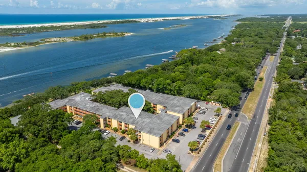 a view of a yard with plants and trees