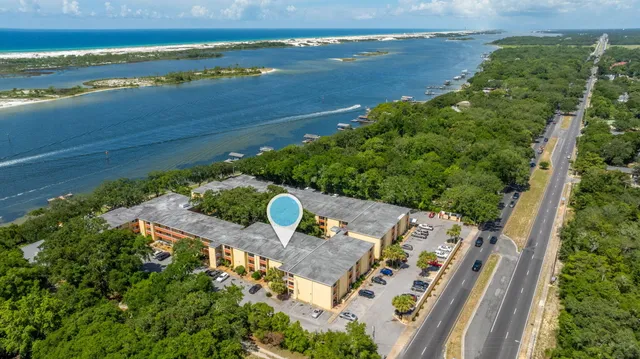 a view of a yard with plants and trees