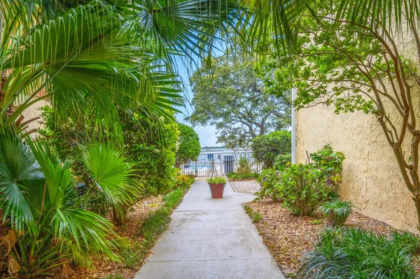 a view of a livingroom with furniture and a ceiling fan