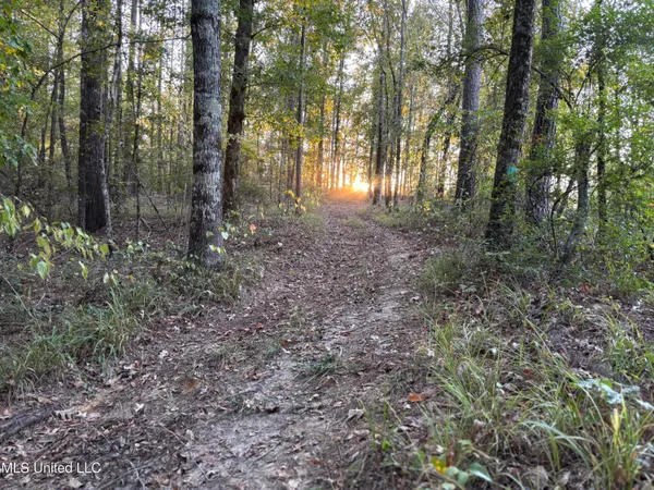 $931,700 | 0 Simpson Road, Pickens, MS 39146