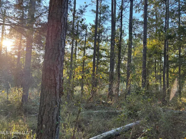 $931,700 | 0 Simpson Road, Pickens, MS 39146