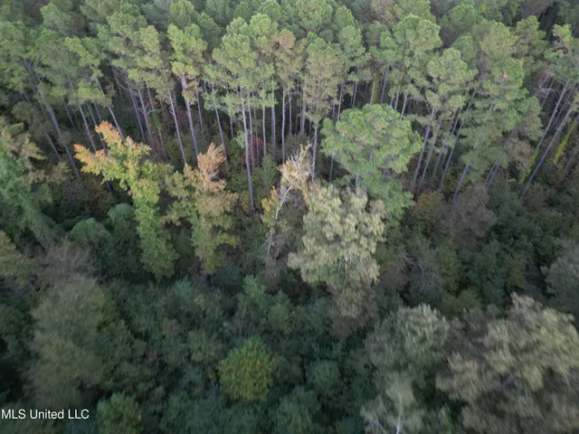 $1,150,000 | 0 Simpson Road, Pickens, MS 39146