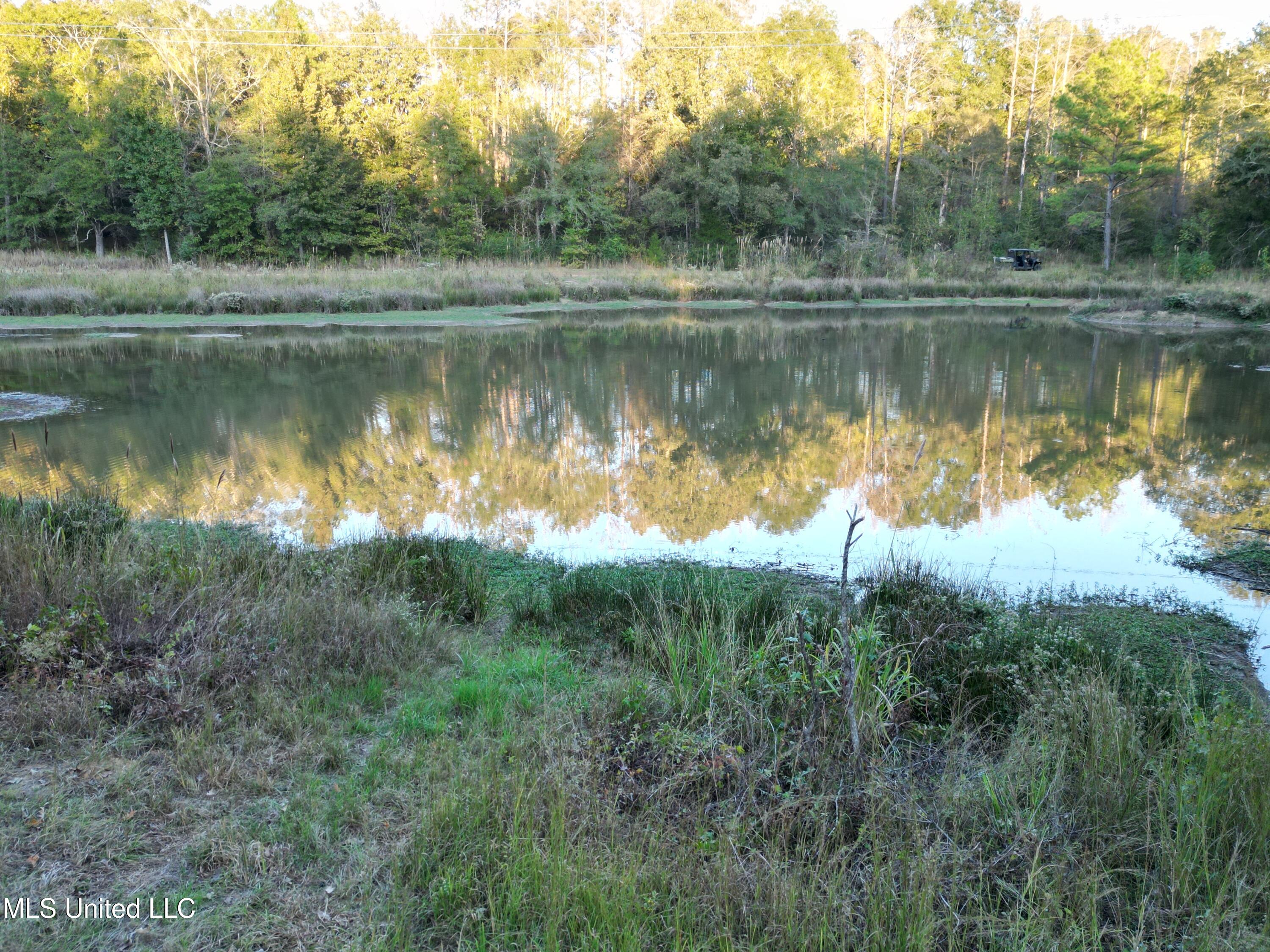 0 Simpson Road Pickens, MS 39146 - Photo 11 of 42 dji_fly_20251013_175658_39_1760402914141