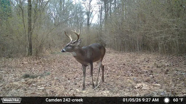 $1,004,300 | 0 Simpson Road, Pickens, MS 39146