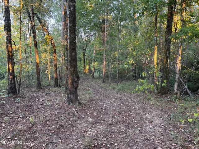 $1,004,300 | 0 Simpson Road, Pickens, MS 39146