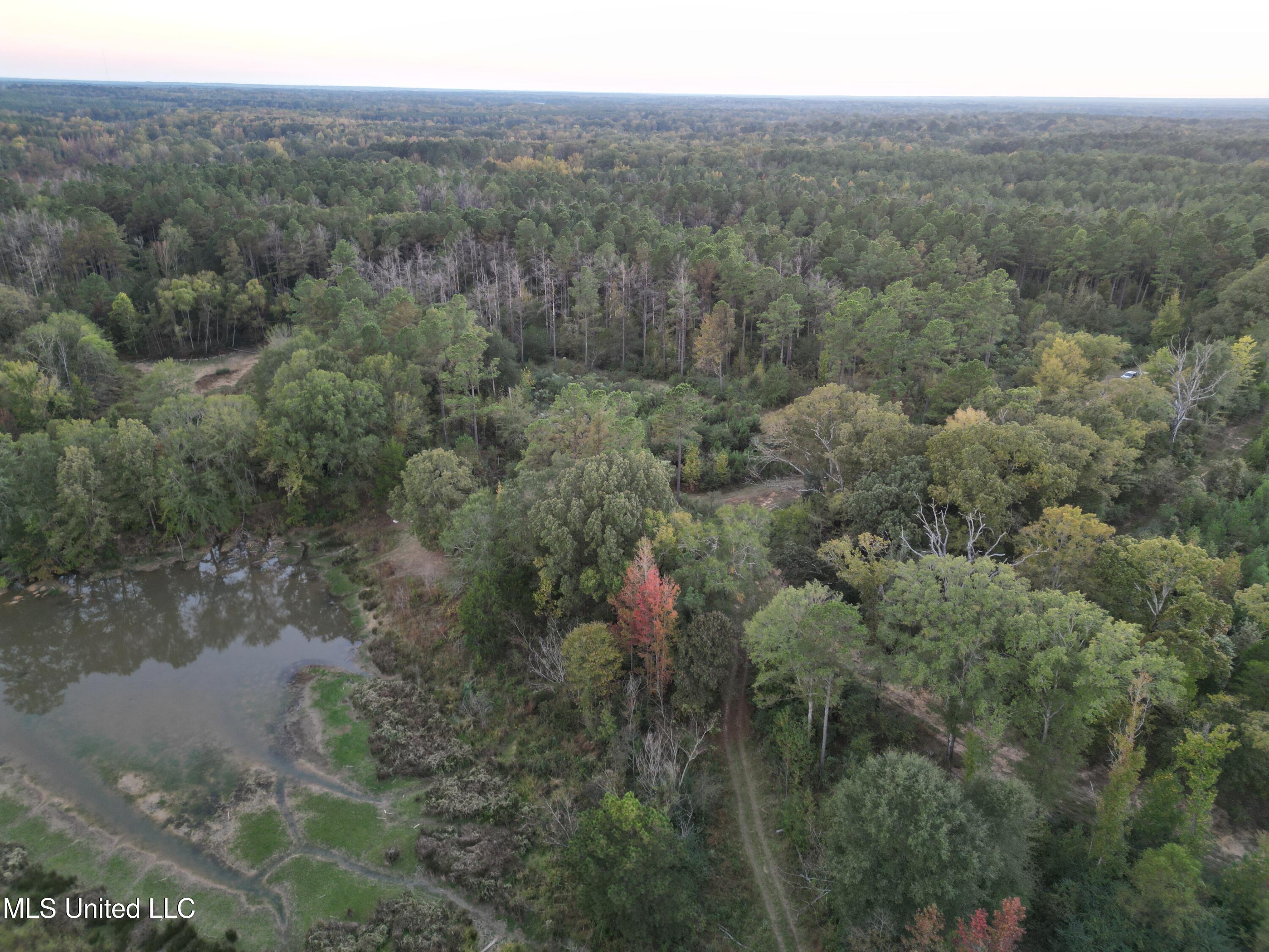 0 Simpson Road Pickens, MS 39146 - Photo 15 of 29 dji_fly_20251016_182754_19_1760665574009