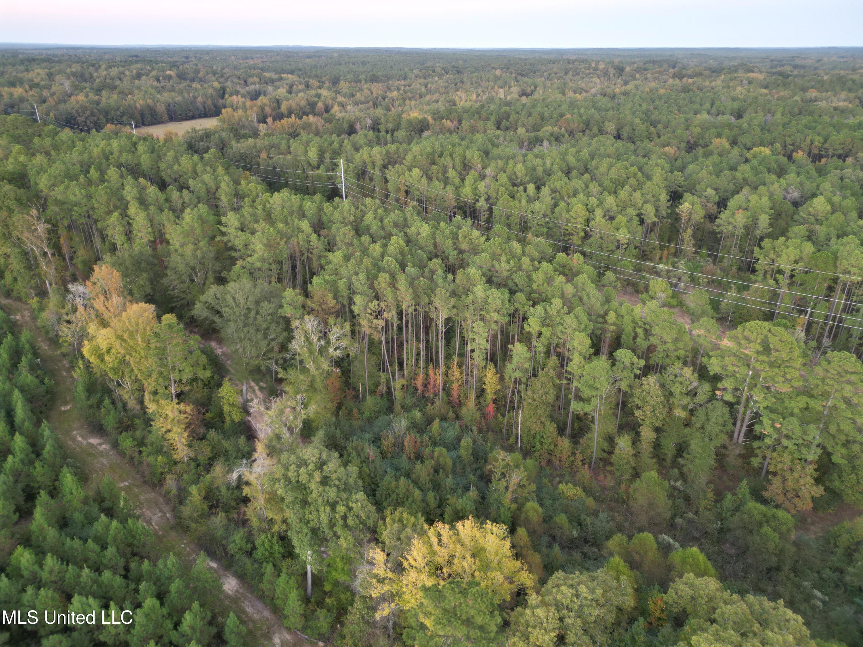 0 Simpson Road Pickens, MS 39146 - Photo 15 of 28 dji_fly_20251016_183030_24_1760665572669