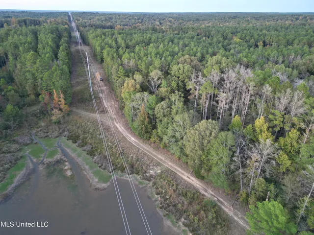 $1,150,000 | 0 Simpson Road, Pickens, MS 39146