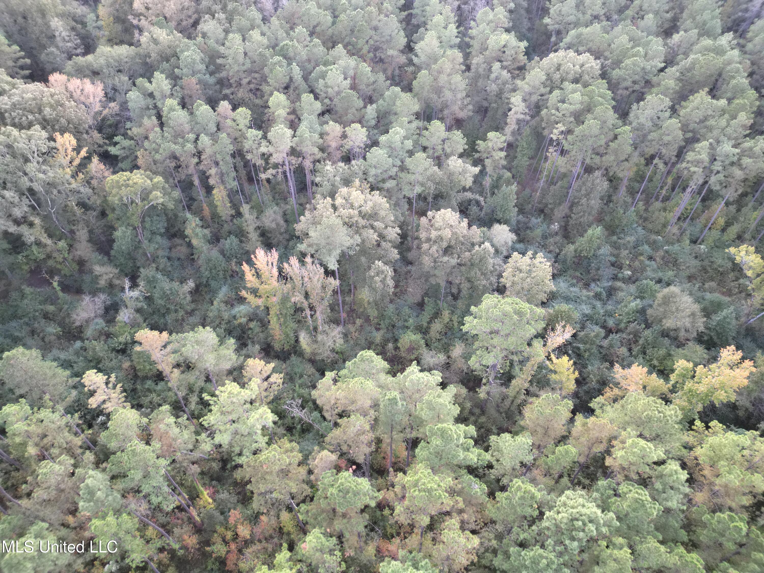 0 Simpson Road Pickens, MS 39146 - Photo 17 of 28 dji_fly_20251016_183310_30_1760665571046