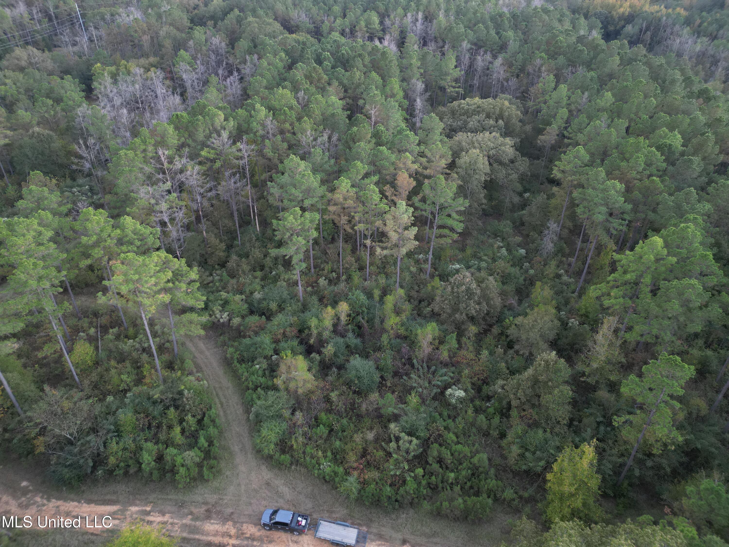 0 Simpson Road Pickens, MS 39146 - Photo 19 of 29 dji_fly_20251016_182952_23_1760665572924
