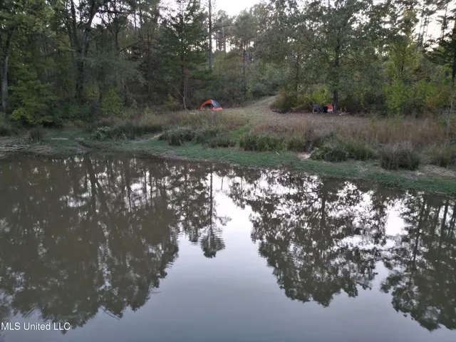 $1,150,000 | 0 Simpson Road, Pickens, MS 39146