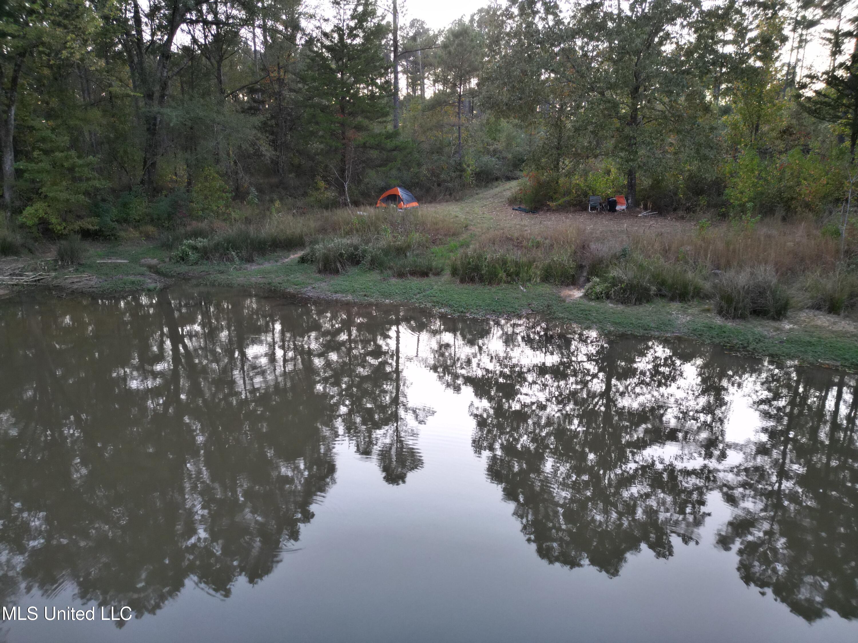 0 Simpson Road Pickens, MS 39146 - Photo 20 of 28 dji_fly_20251016_183600_37_1760665569037