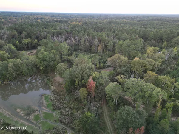 $931,700 | 0 Simpson Road, Pickens, MS 39146