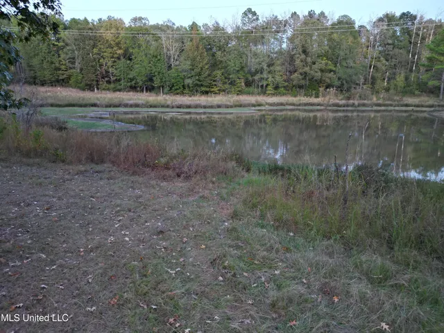 $1,150,000 | 0 Simpson Road, Pickens, MS 39146