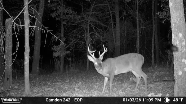 $931,700 | 0 Simpson Road, Pickens, MS 39146