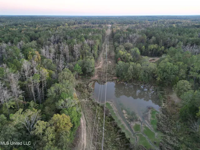 $1,004,300 | 0 Simpson Road, Pickens, MS 39146