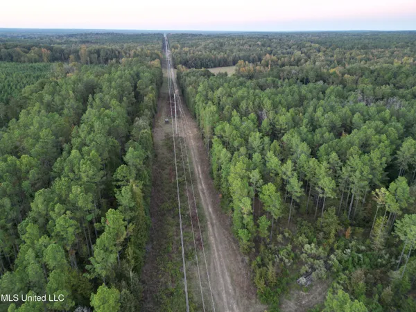 $931,700 | 0 Simpson Road, Pickens, MS 39146