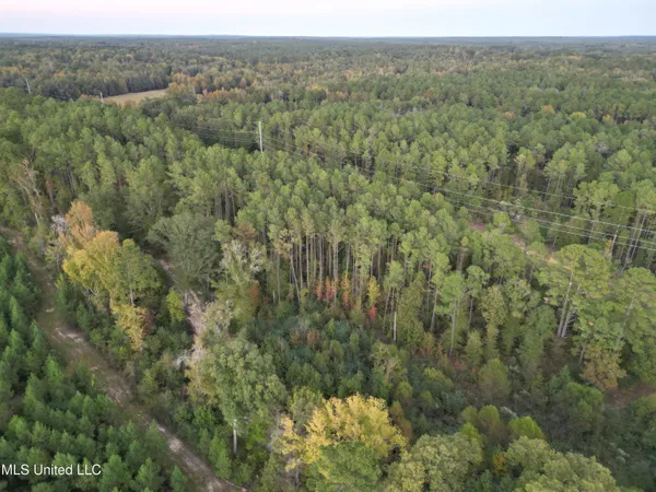 $931,700 | 0 Simpson Road, Pickens, MS 39146