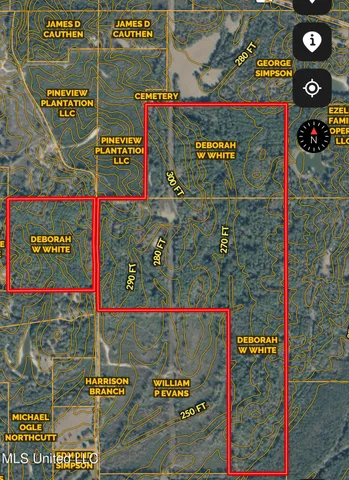 $1,150,000 | 0 Simpson Road, Pickens, MS 39146