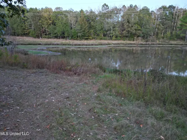 $931,700 | 0 Simpson Road, Pickens, MS 39146