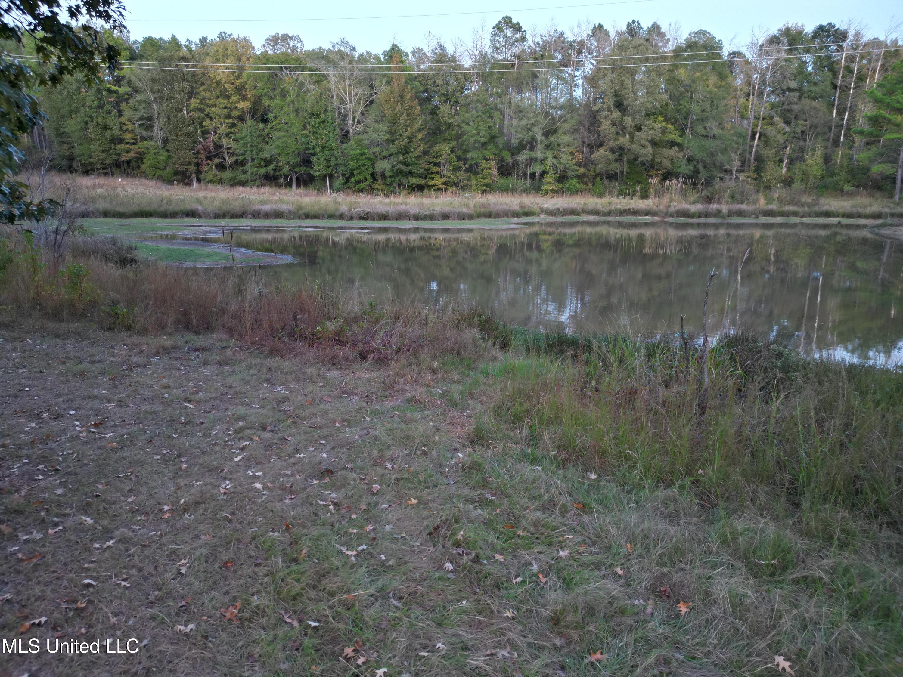0 Simpson Road Pickens, MS 39146 - Photo 34 of 42 dji_fly_20251016_183620_39_1760665568388