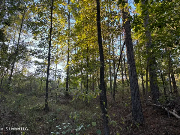 $931,700 | 0 Simpson Road, Pickens, MS 39146