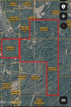 $931,700 | 0 Simpson Road, Pickens, MS 39146