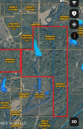 $931,700 | 0 Simpson Road, Pickens, MS 39146