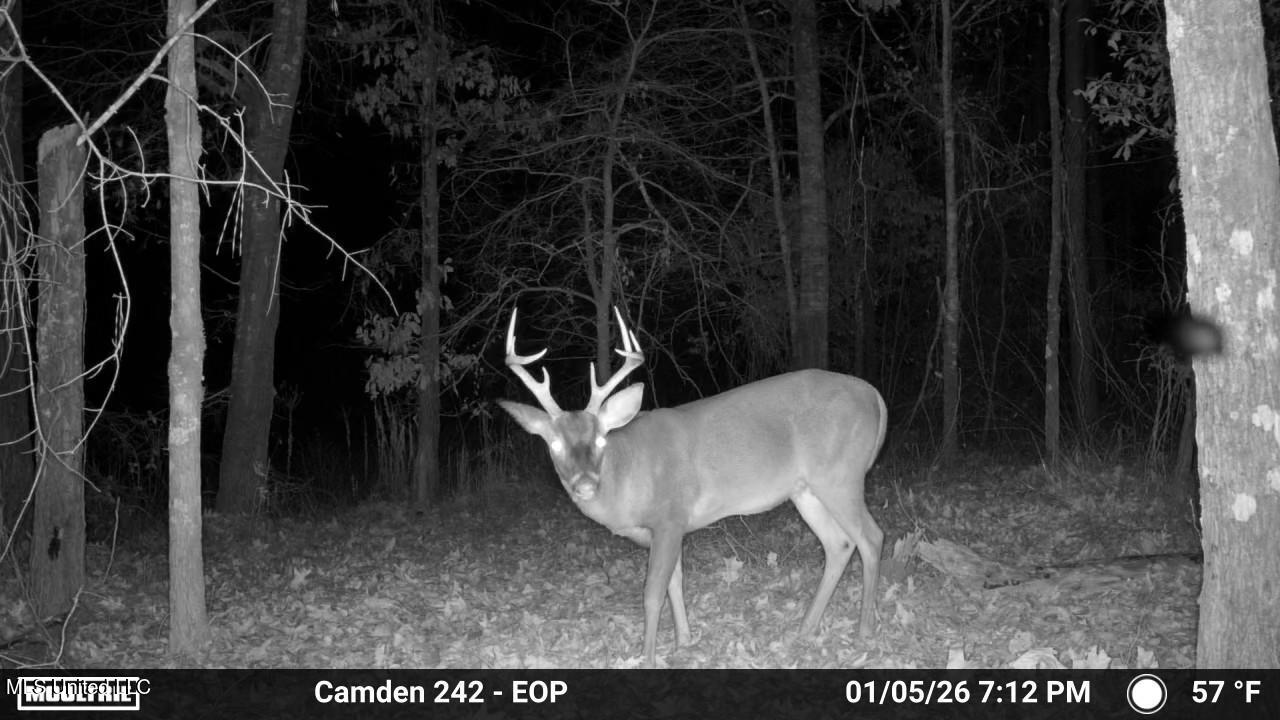 0 Simpson Road Pickens, MS 39146 - Photo 4 of 42 IMG_3842