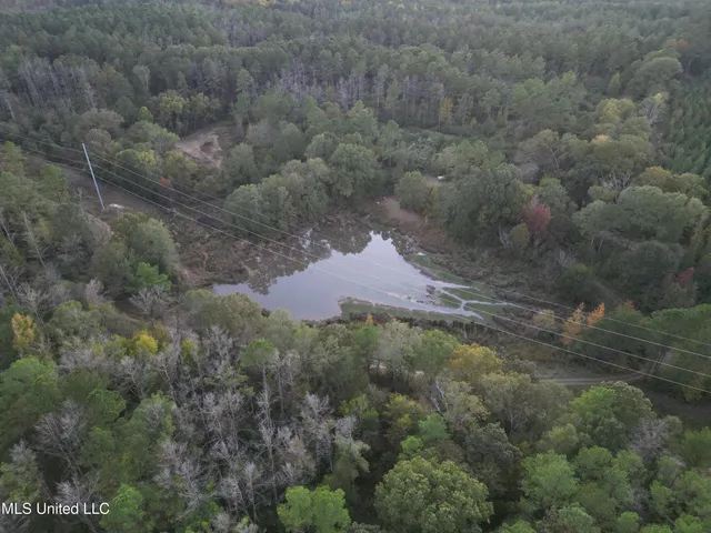 $1,150,000 | 0 Simpson Road, Pickens, MS 39146