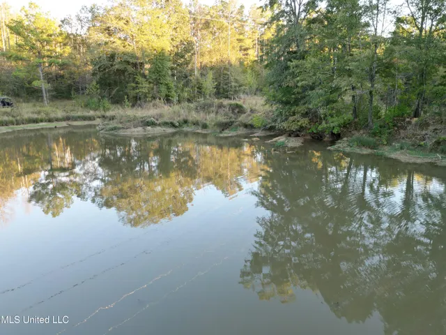 $1,150,000 | 0 Simpson Road, Pickens, MS 39146