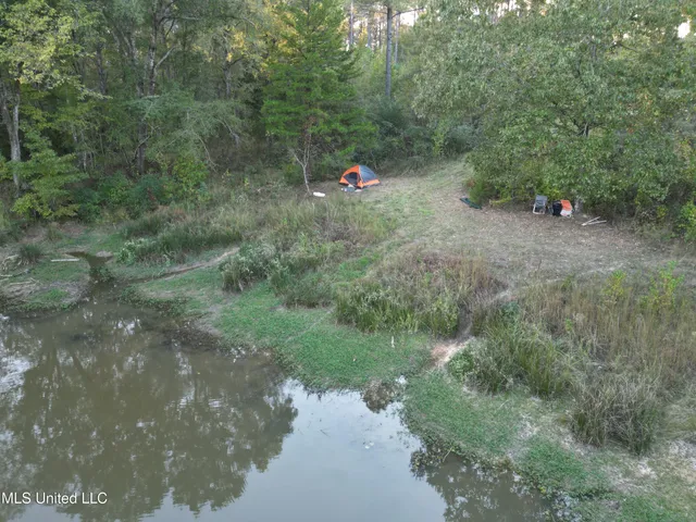 $1,004,300 | 0 Simpson Road, Pickens, MS 39146